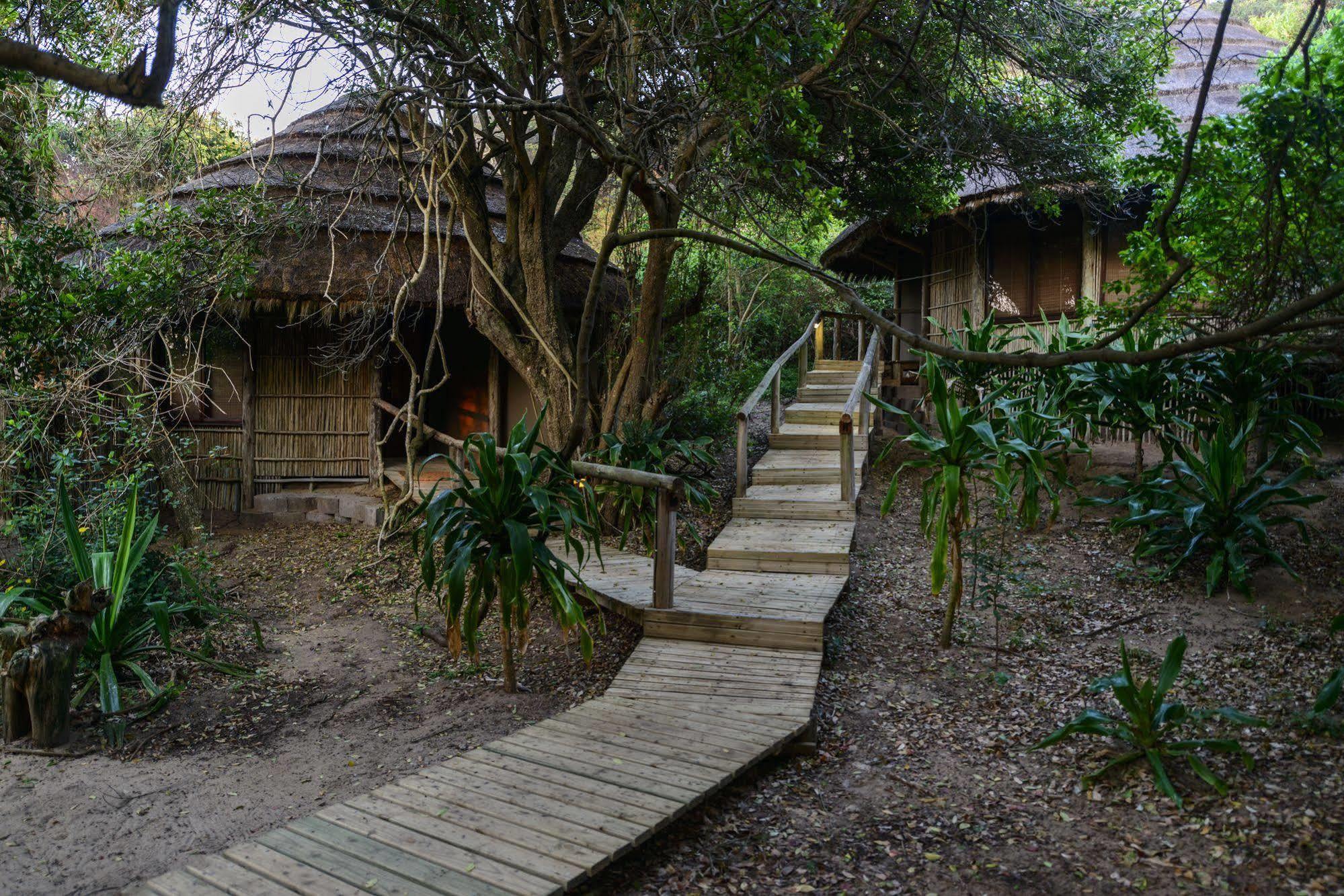 Thonga Beach Lodge Mabibi Bagian luar foto